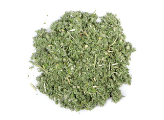 Horehound Wild Harvested -Marrubium vulgare