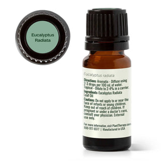 Eucalyptus Radiata Essential Oil 10 mL