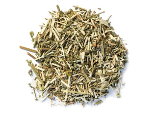 Vervain, Organic, Verbena hastata