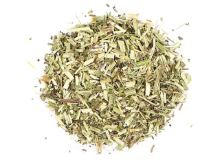 Wood Betony, Organic, Stachys officinalis